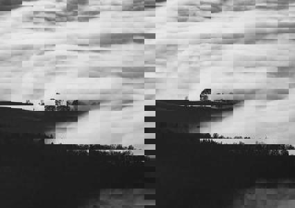 1064 710X320