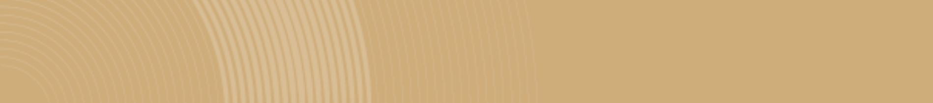 JESE25 Website Banner Gold