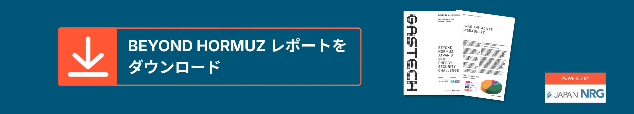 Download Japannrg Report JP
