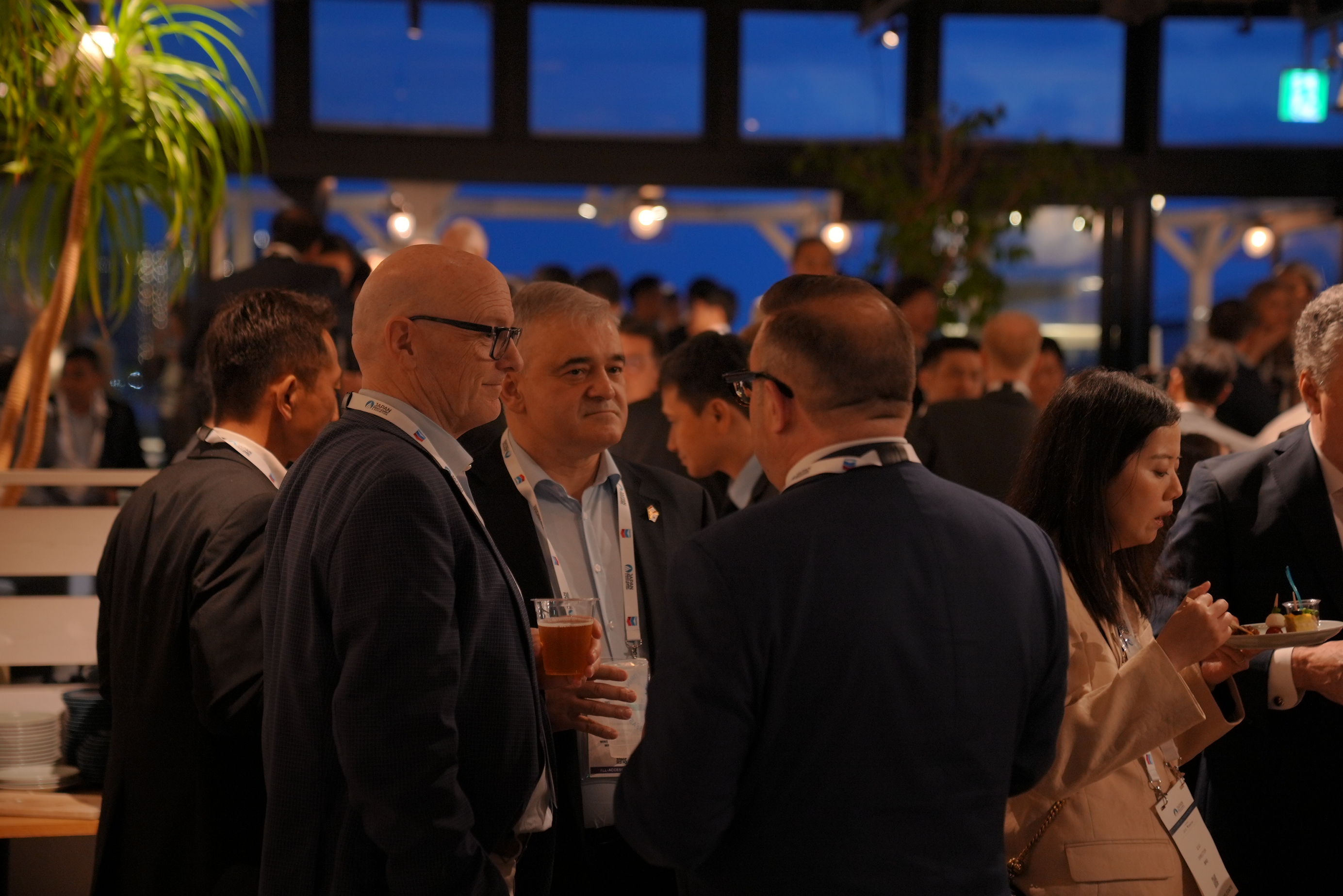 VIP Partnership Programme