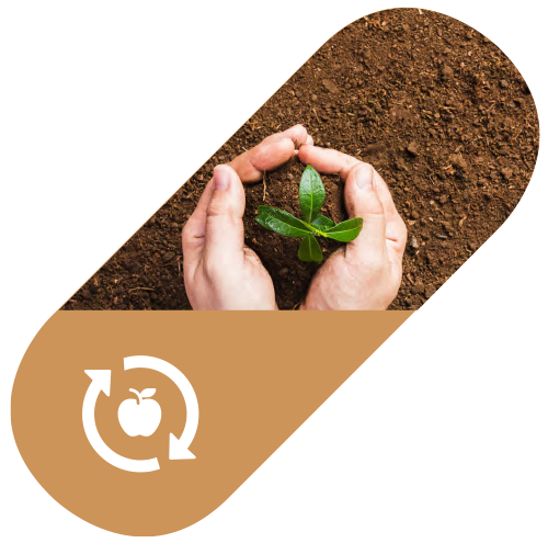 Food Food Waste Img 1