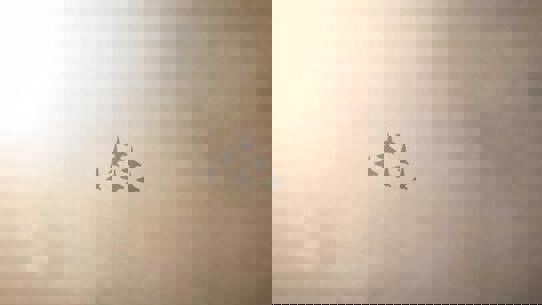 Video Gallery Module