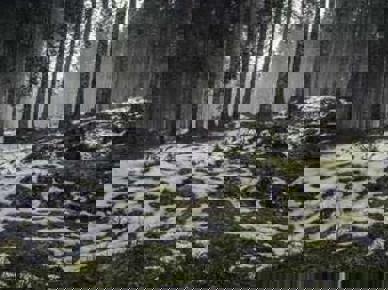 571 350X350