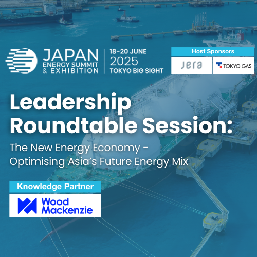 The New Energy Economy 500X500